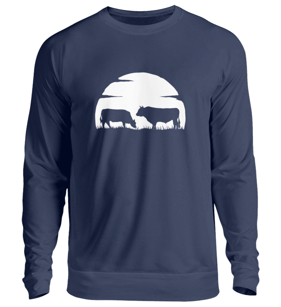 New French Navy-1676