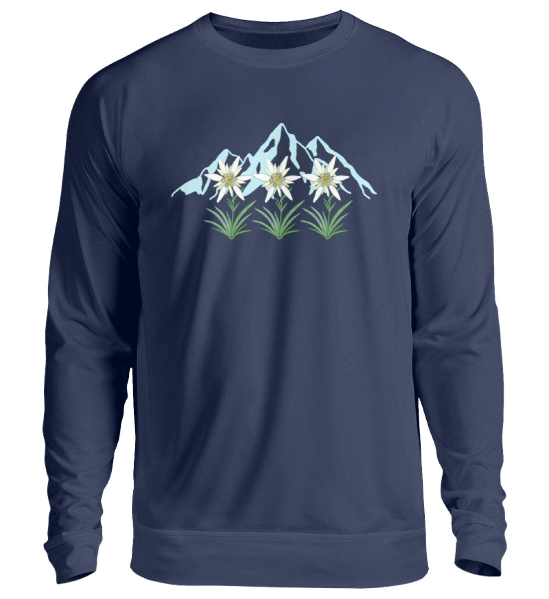 New French Navy-1676