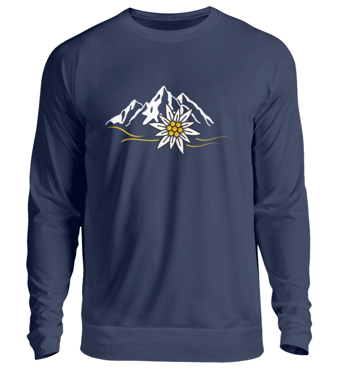 New French Navy-1676